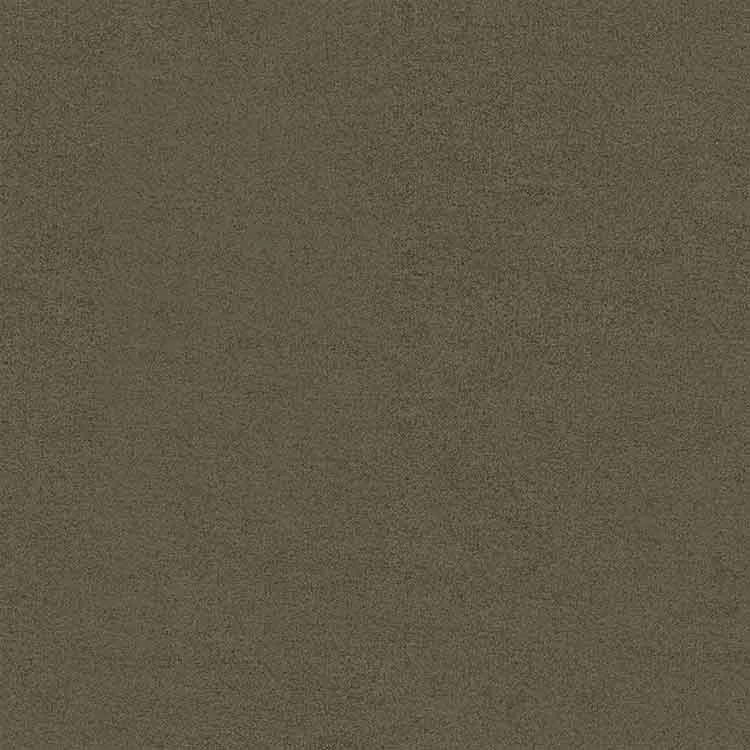 Dagaanbieding Ambiant Louisville Olijf 0912