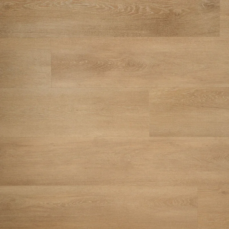 Douwes Dekker Ambitieus Klik Riante Plank Zoethout Beperkte Voorraad