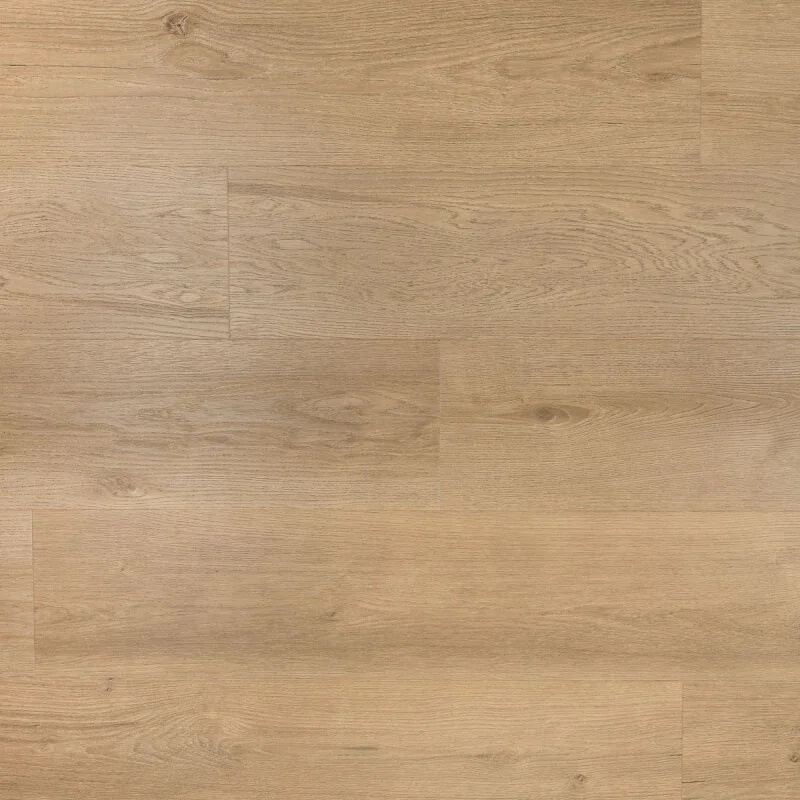 Douwes Dekker Ambitieus Klik Riante Plank Gemberkoek Weekendaanbieding