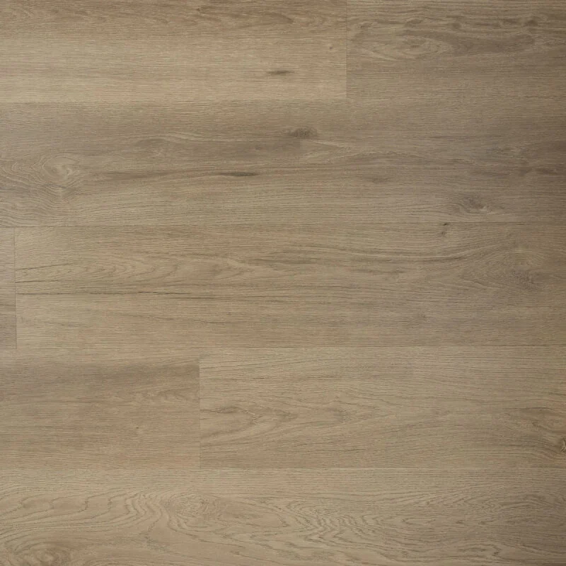 Nieuw Douwes Dekker Ambitieus Klik Riante Plank Spekkoek