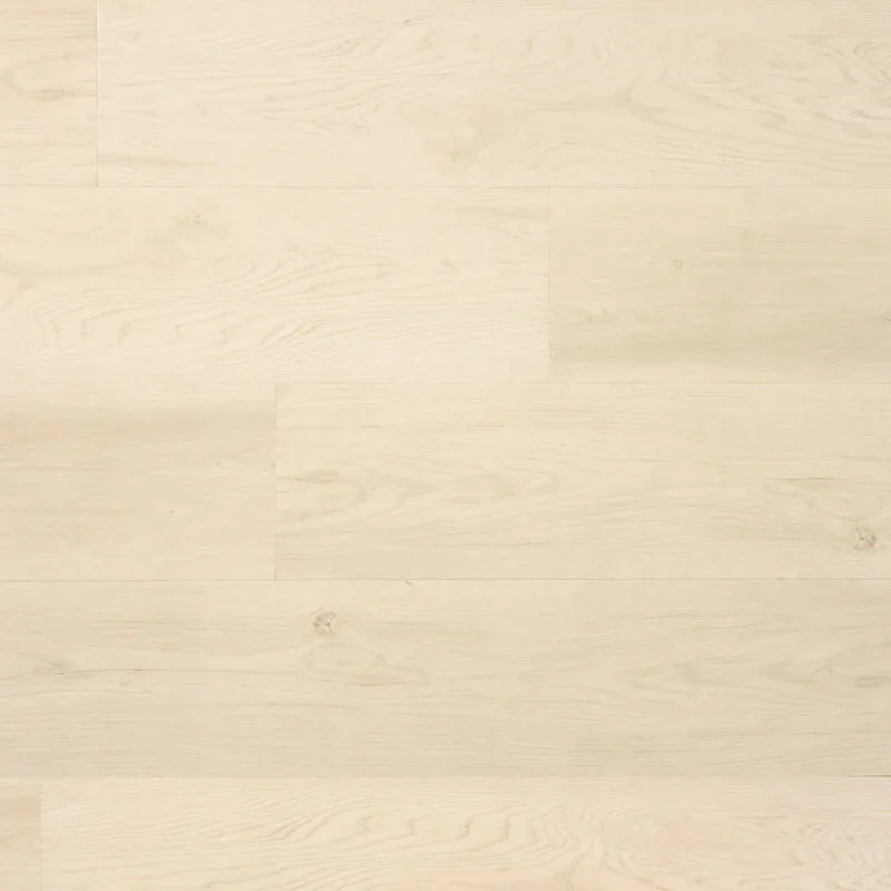 Douwes Dekker Ambitieus Klik Riante Plank Peperkoek Fabrieksprijs