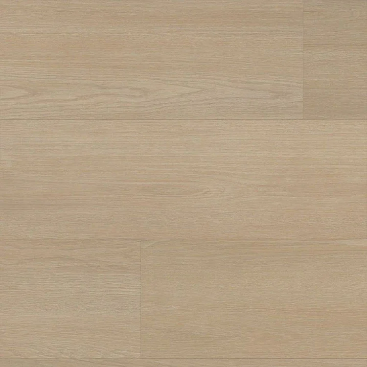 Aanbieding Ambiant Cavalley Beige