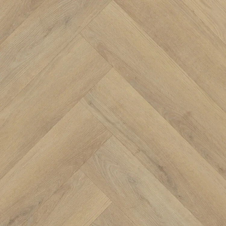 Favoriet Belakos Palazzo Visgraat XL 72