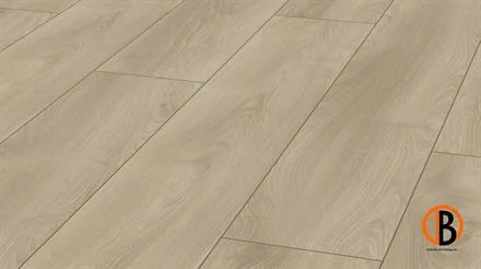 Flitsaanbieding Kronotex Laminat Mammut Plus 4752 Makro Eiche Hell