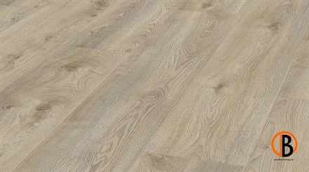 Actieprijs Kronotex Laminat Mammut Plus 3669 Makro Eiche beige