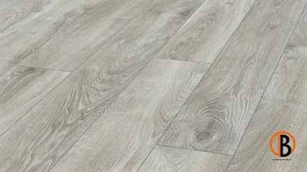 Rechtstreeks Van De Fabrikant Kronotex Laminat Mammut 4797 Highland Eiche Silber