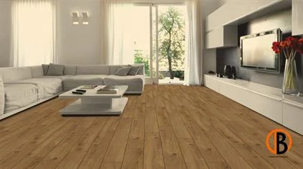 Populair Kronotex Laminat Amazone 4166 Prestige Eiche Natur