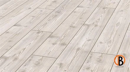 Koop Vandaag Kronotex Laminat Amazone 2967 Sibirische Fichte