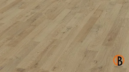 Populair Kronotex Laminat Dynamic D4953 Plauer Eiche