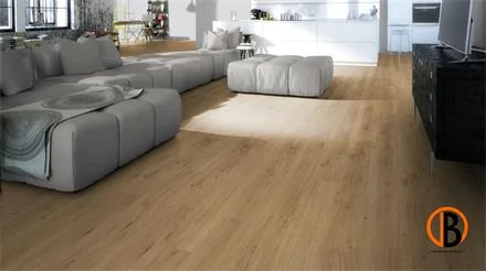 Rechtstreeks Van De Fabrikant Parador Modular ONE Eiche Spirit Natur Holzstruktur LHD Minifase